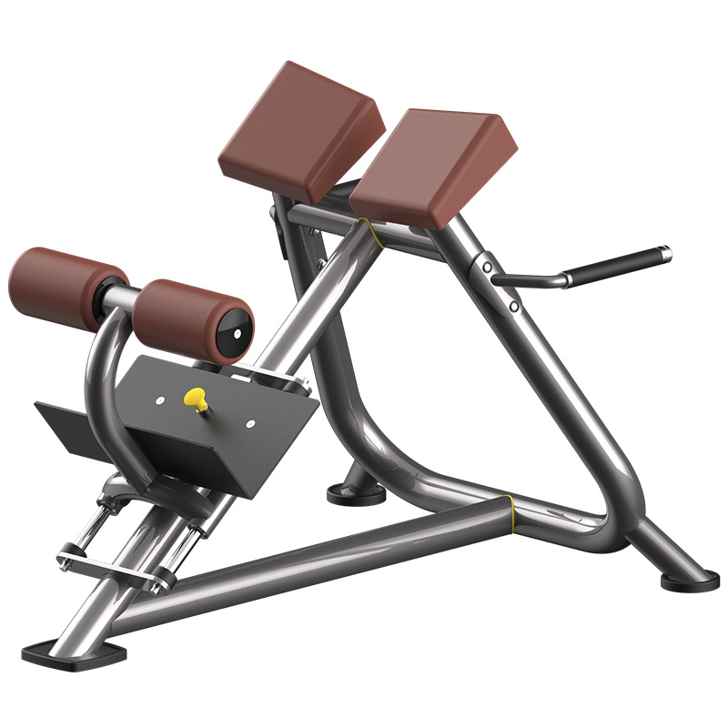 Adjustable Roman Bench with Ergonomic Design