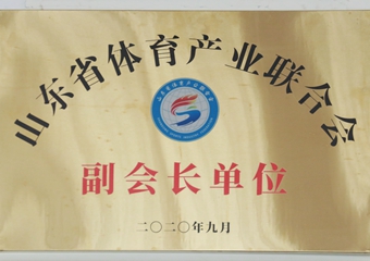 山东省体育产业联合会副会长